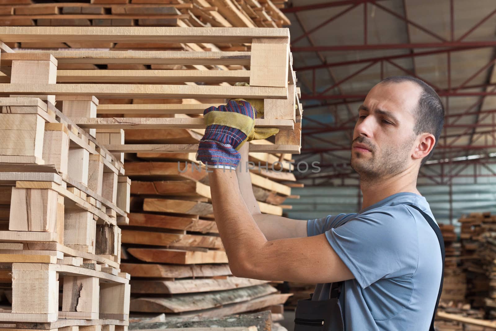 Man arraging beech pallets in a warehouse, horizontal shot