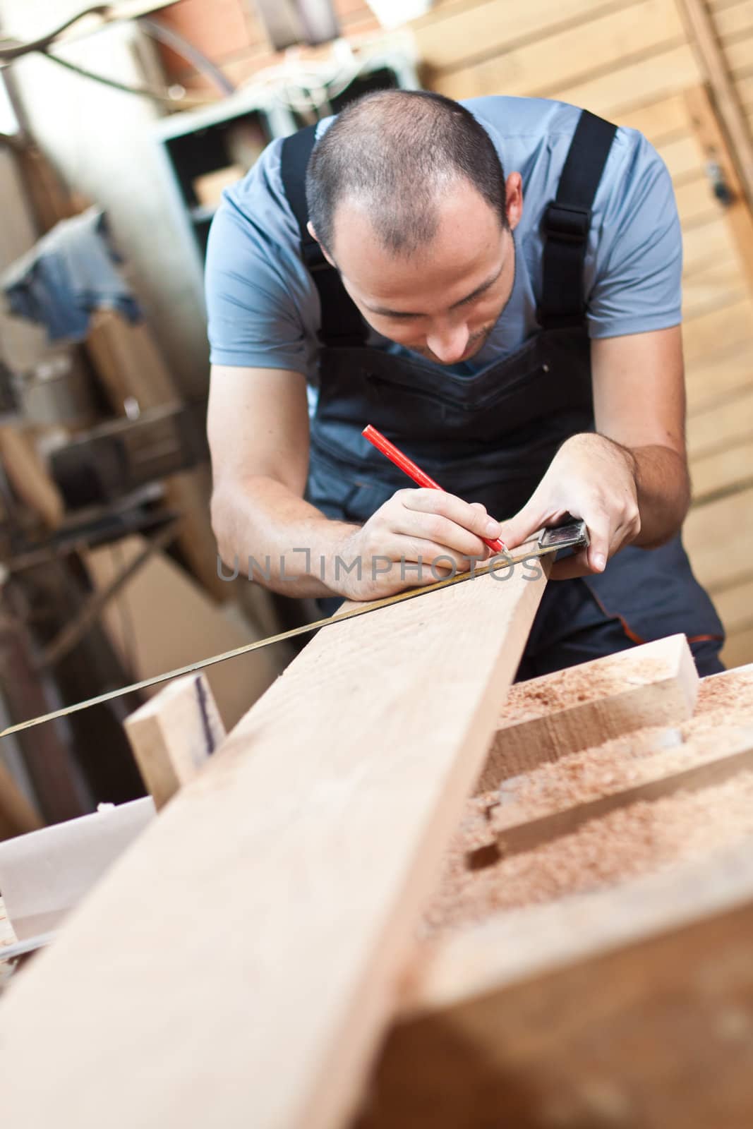 Worker measuring a beech wood plank