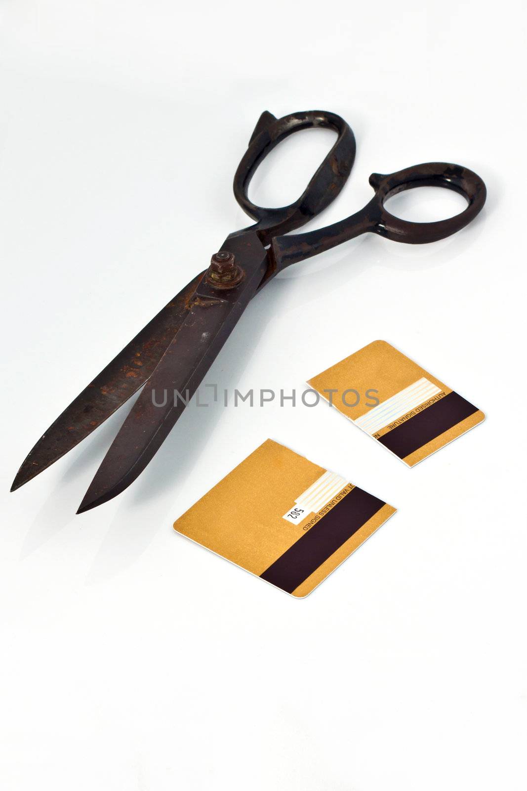 Scissors and cut credit card by Lamarinx