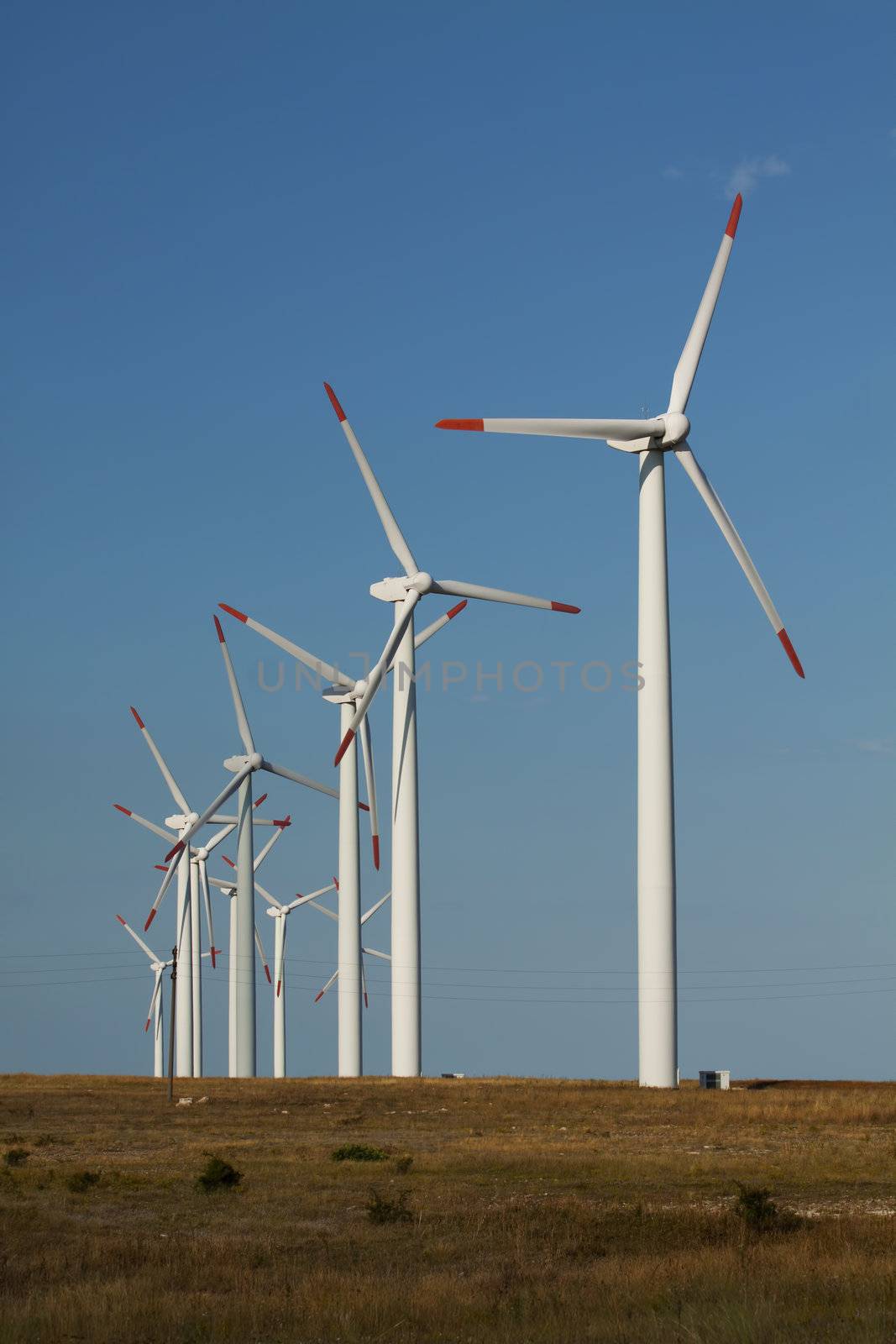 Series of wind power generators in a grass field by Lamarinx