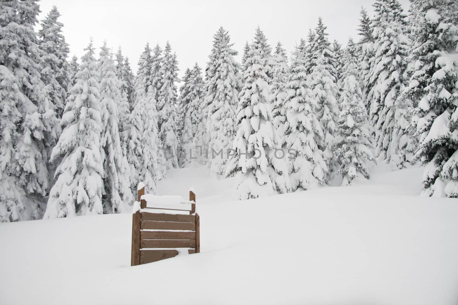 Sign in a snowy forest, broader view by Lamarinx