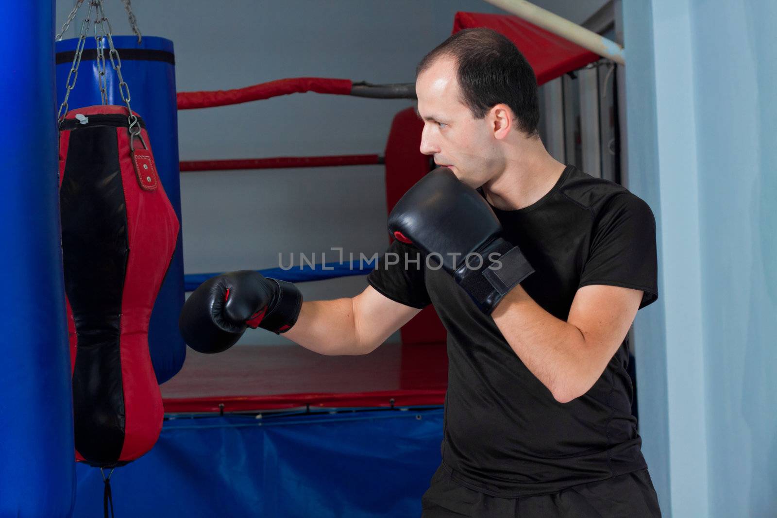 Boxer preparing to punch by Lamarinx