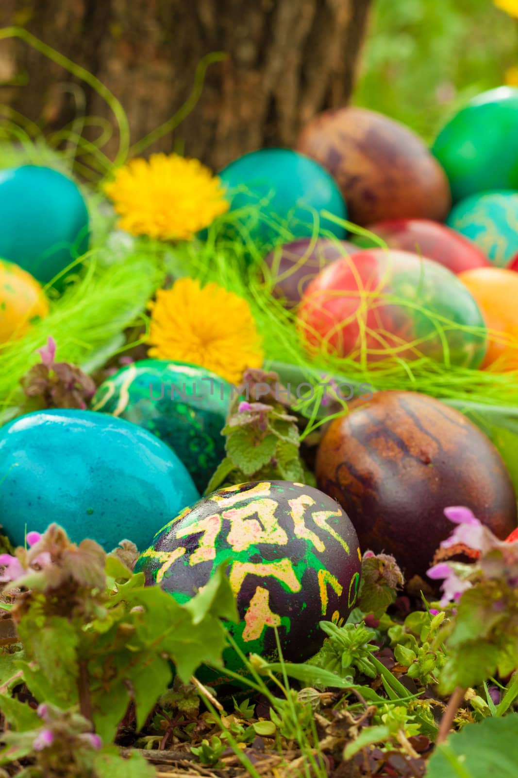 Colorful Easter eggs arranged outside in the flowers