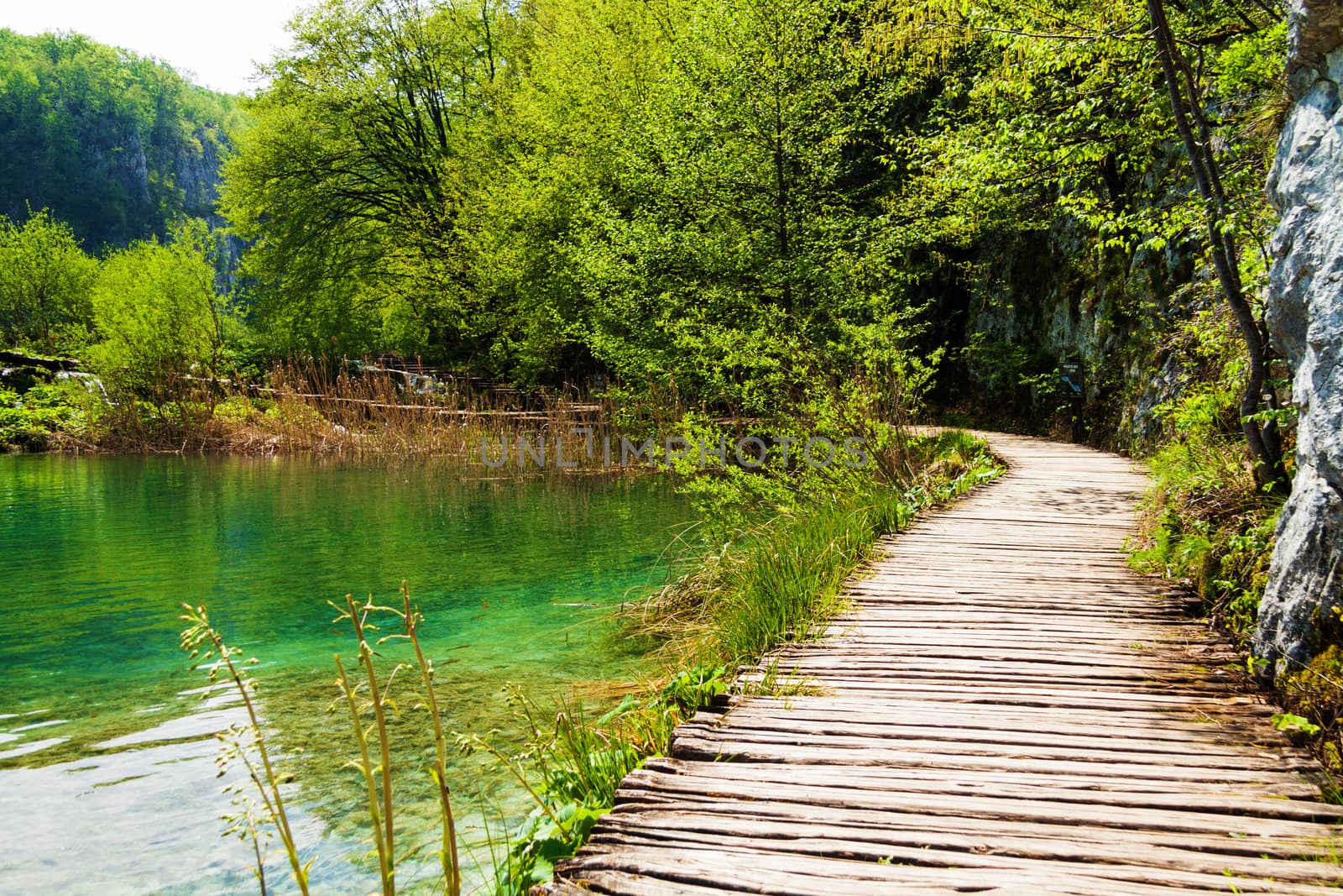 Wooden path near a forest lake in Plitvice Lakes National Park, Croatia