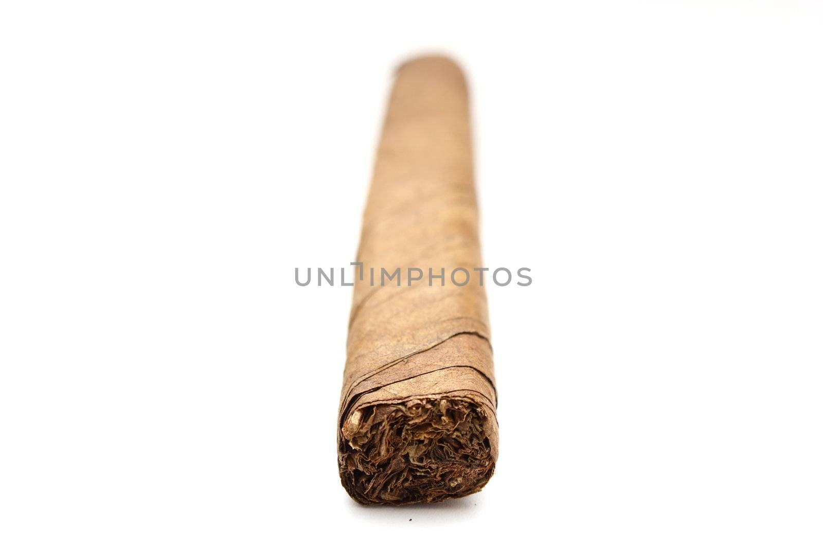 cigar perspective by taviphoto