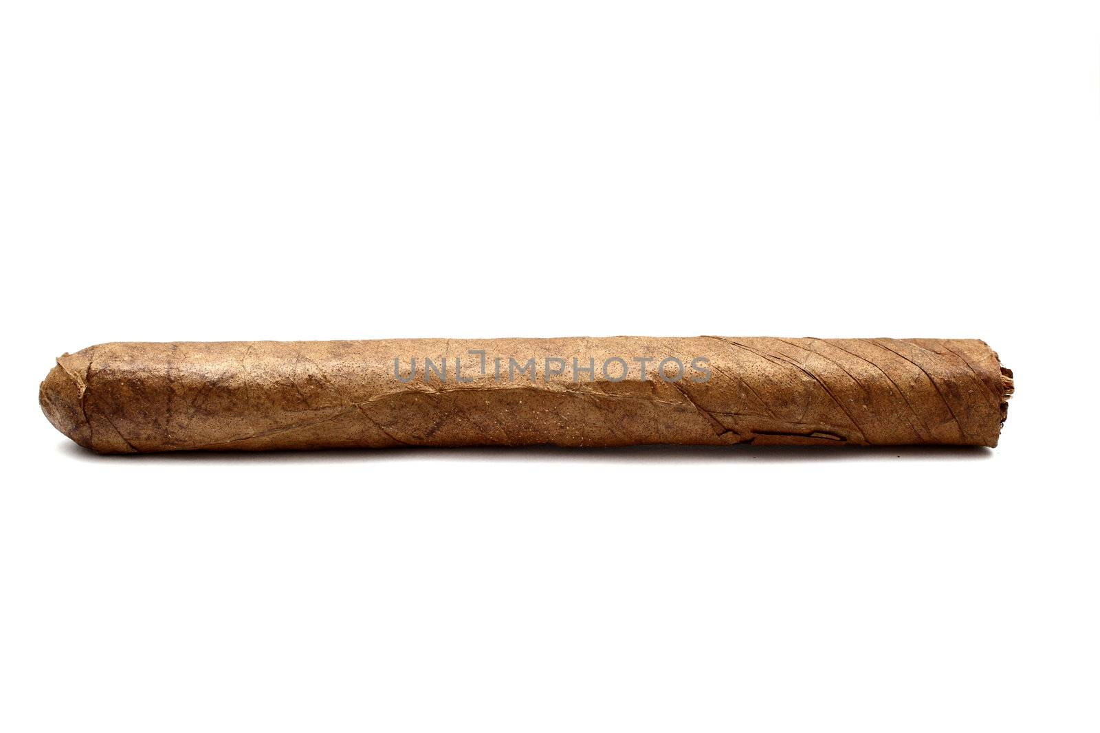 big cuban cigar isolated on white background