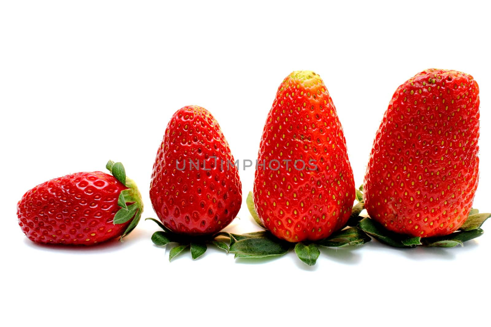 concept of bigger aligned strawberries isolated on white 