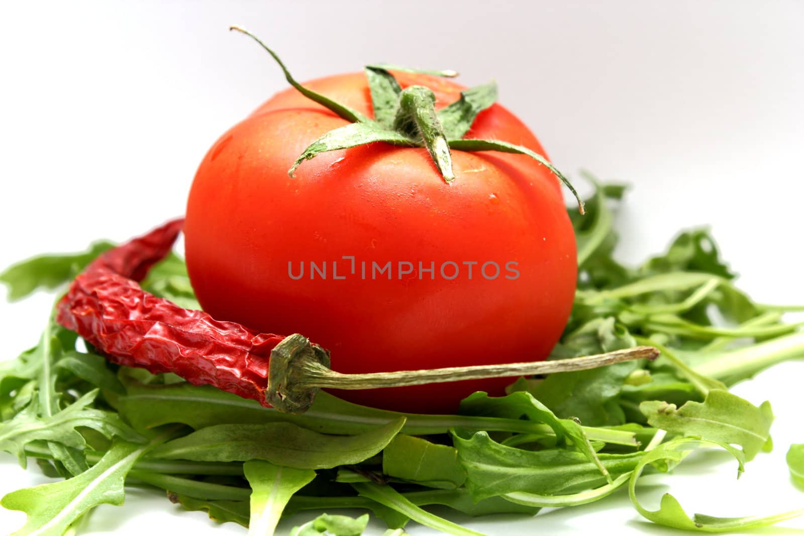 tomato on ruccola bed by taviphoto