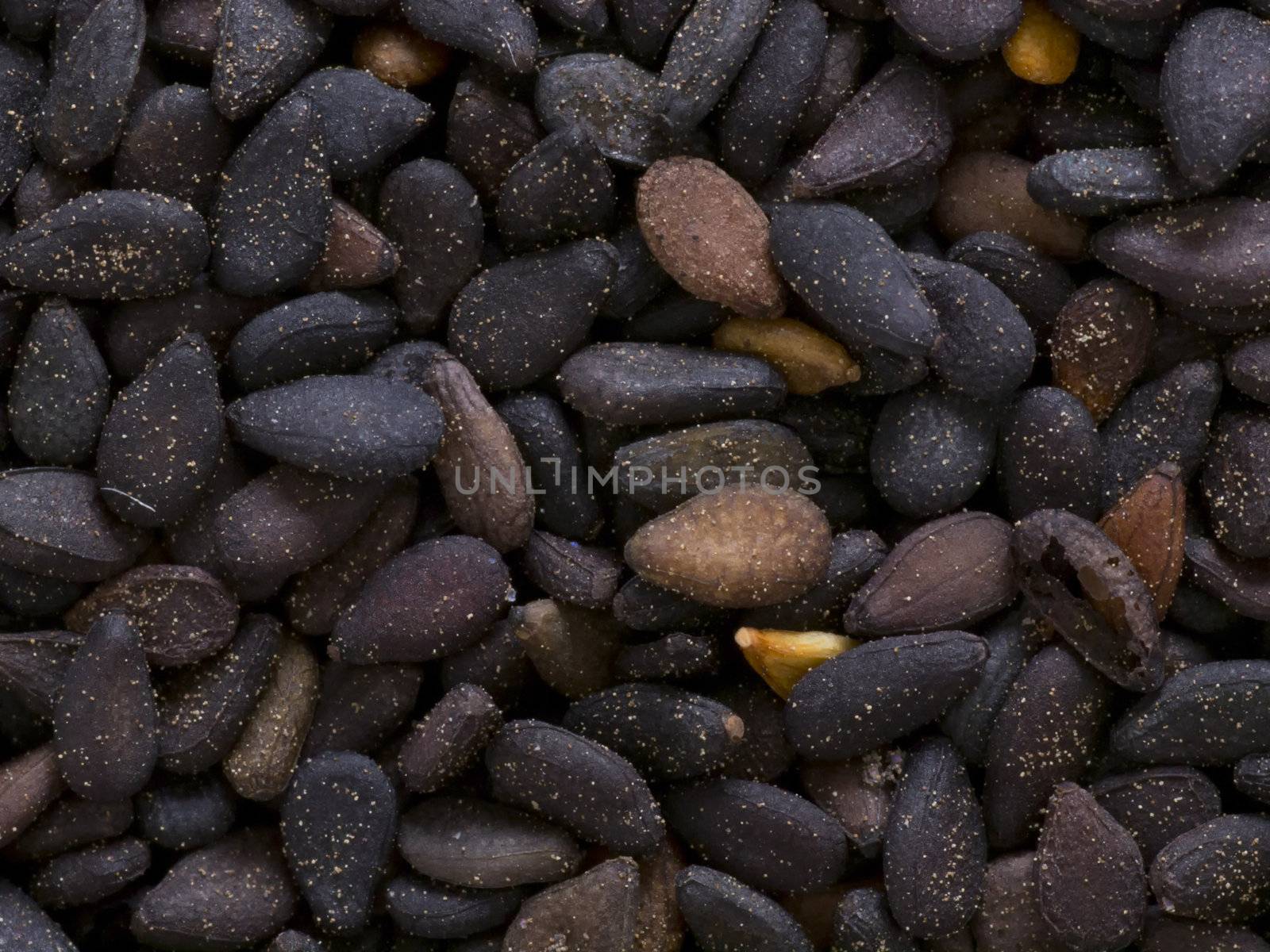 close up of black sesame seeds food backgrounds