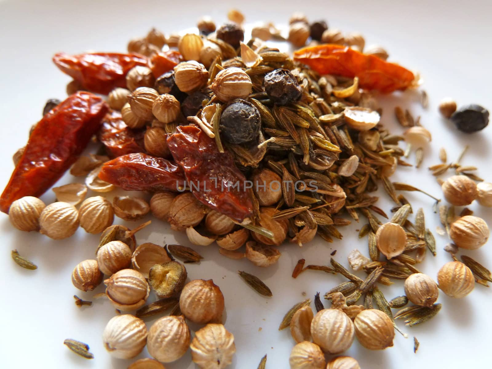 whole spices on a white background