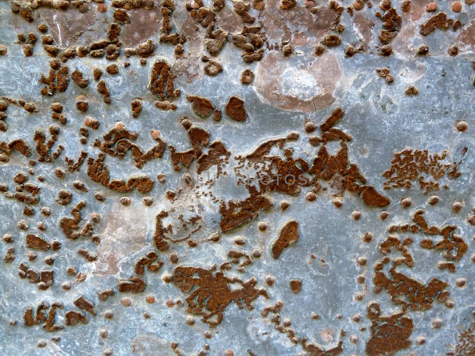 metal panel with rusted patches