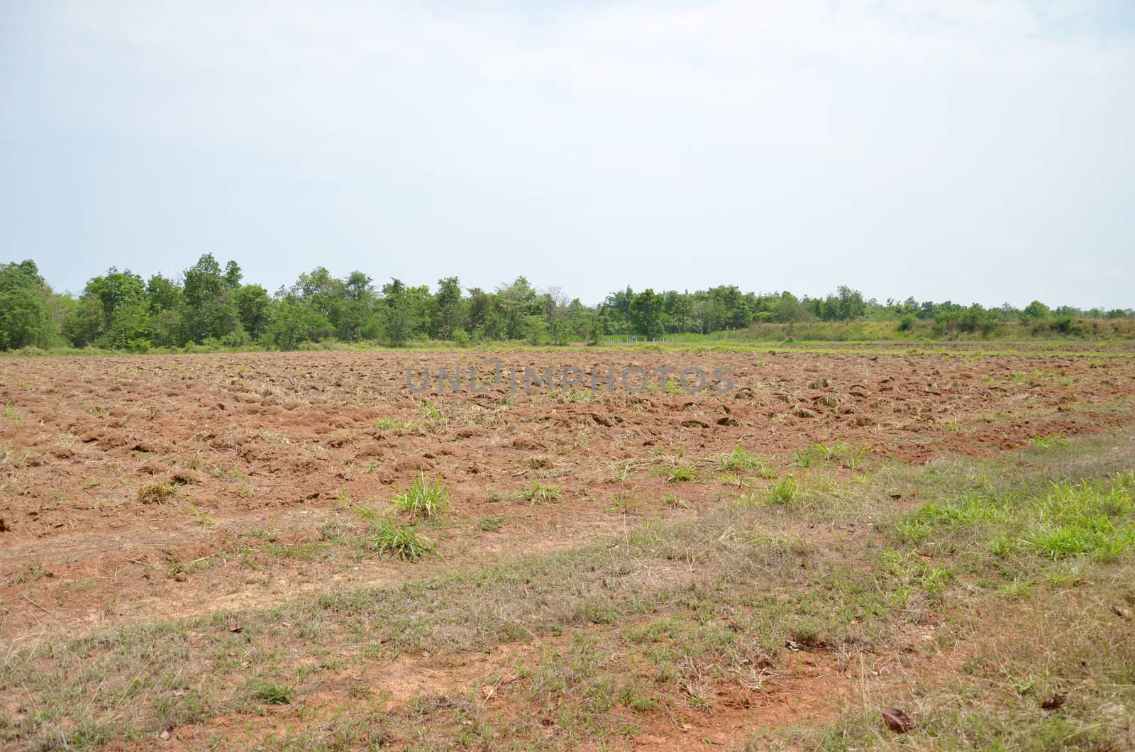 newly plowed field by rakratchada