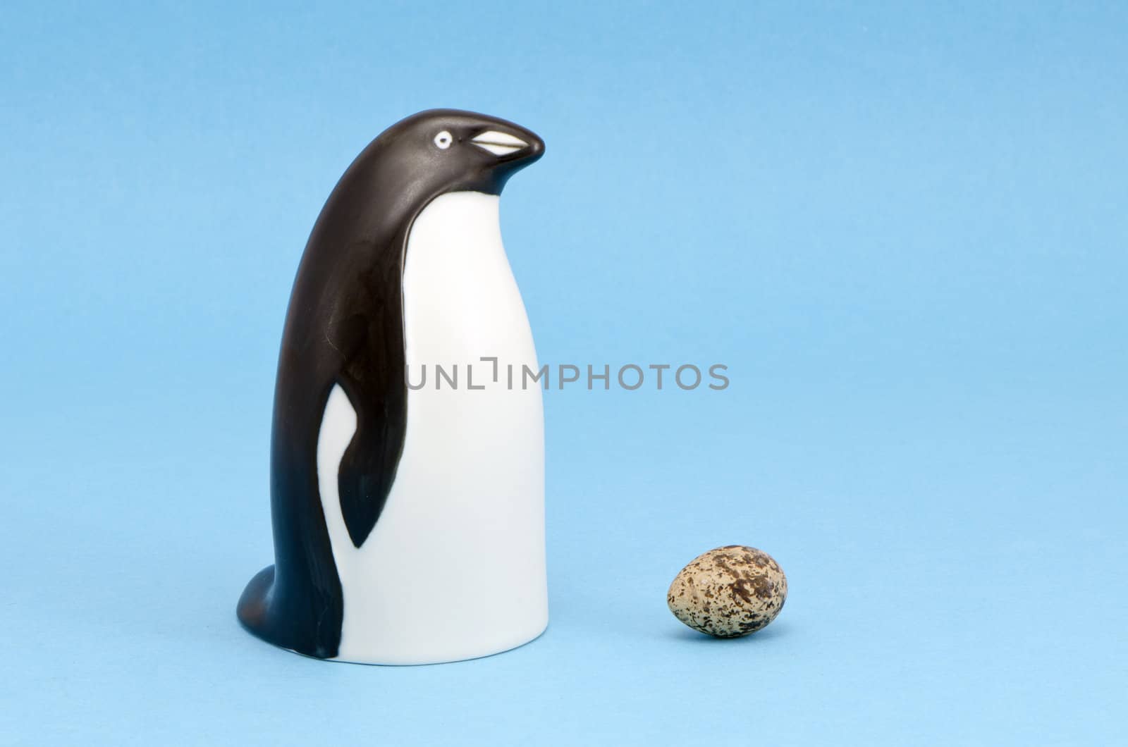 penguin bird sculpture and egg isolated on blue background. concept of birth.