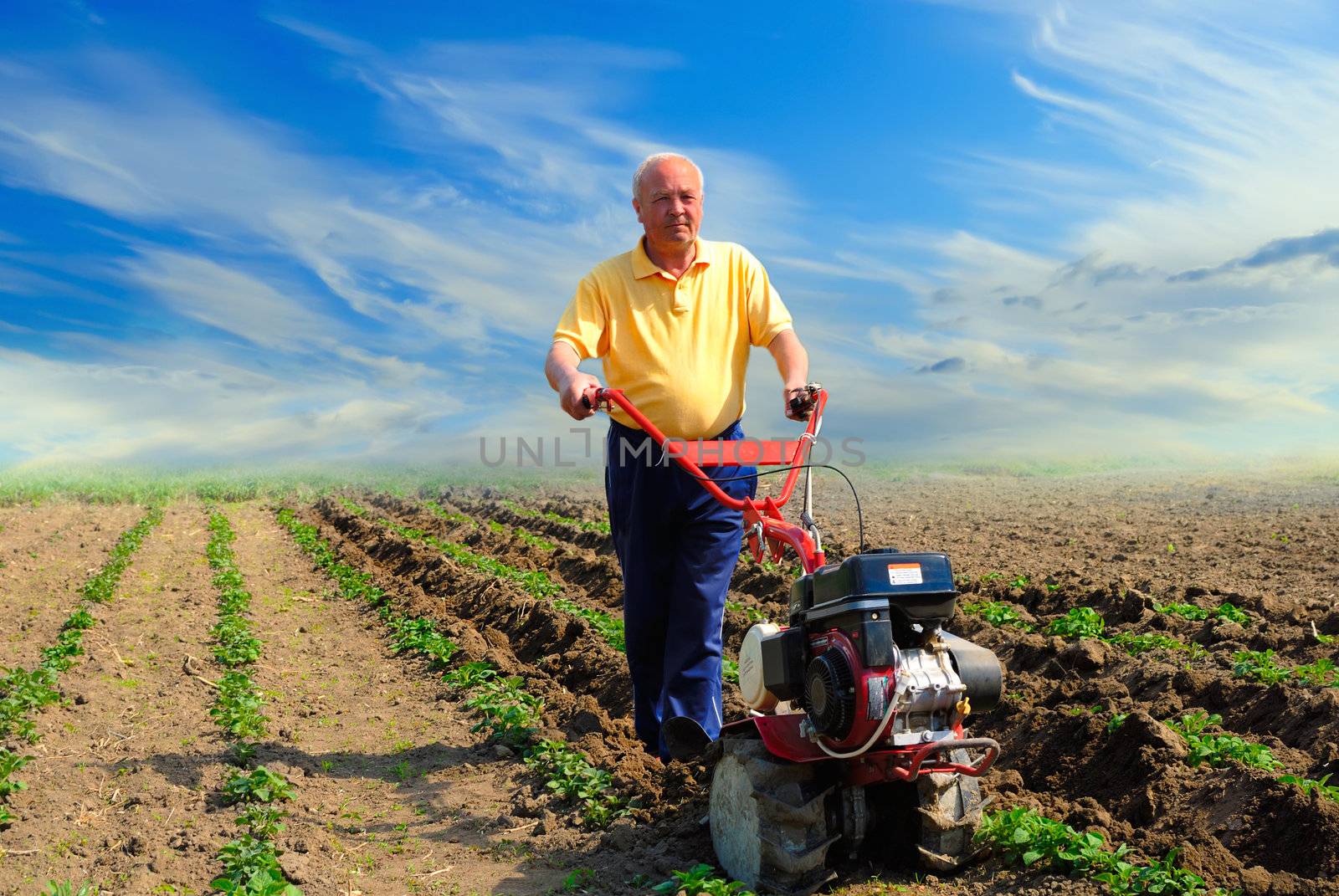 Man in the field with the motor cultivator