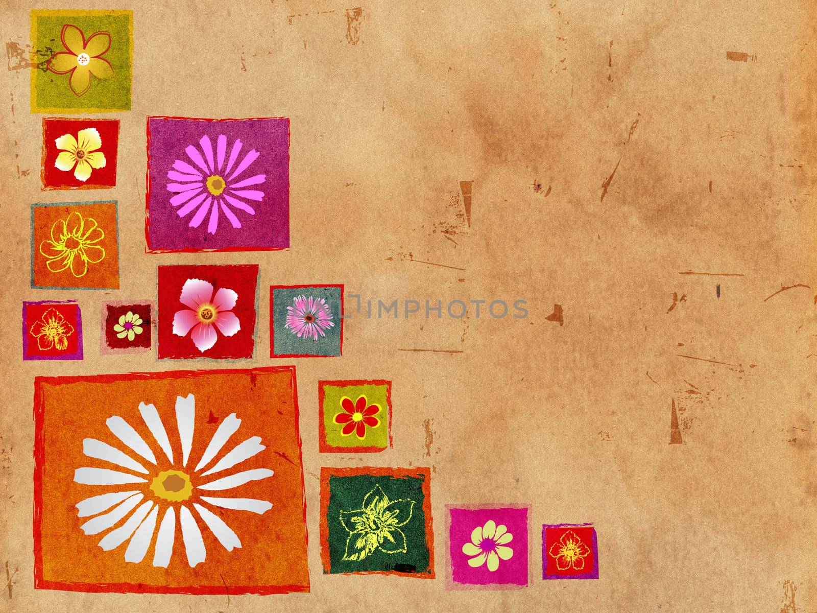flowers in box frames over old paper