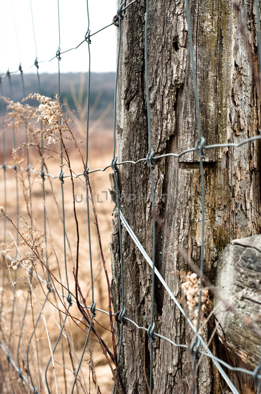 Wooden fence with metal plate against blurry background