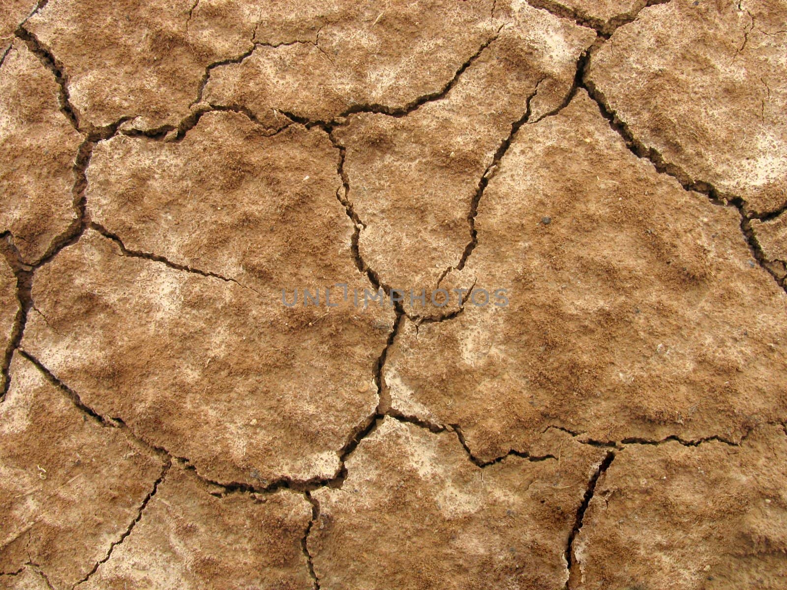close up of fissures on dry ground