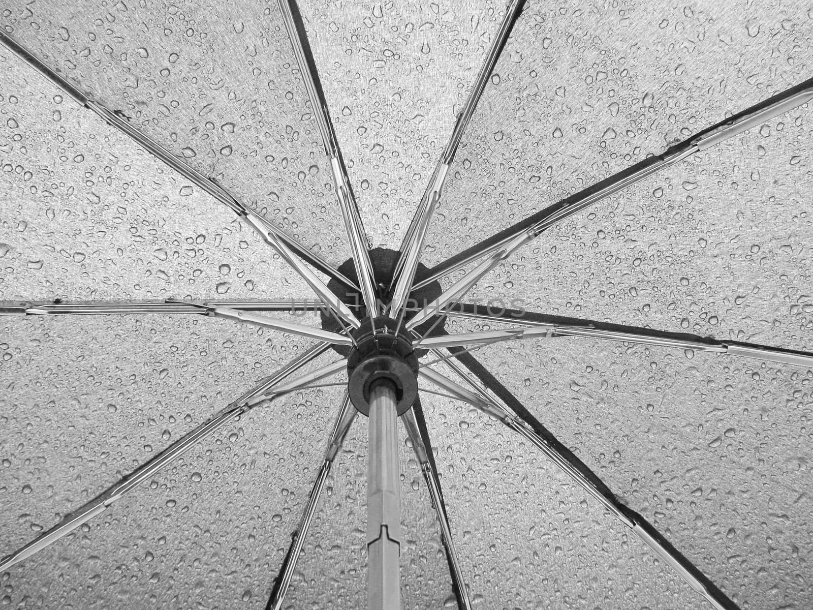 close up of umbrella covered with rain drops