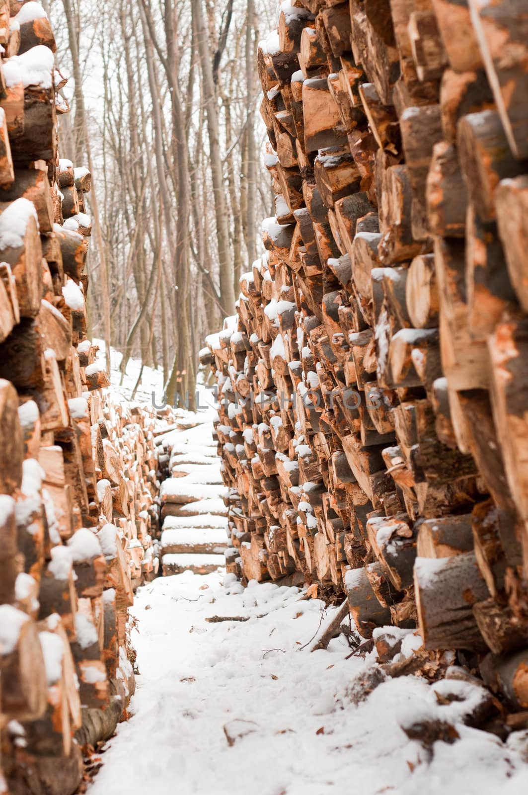 Wooden loges piled up covered by snow