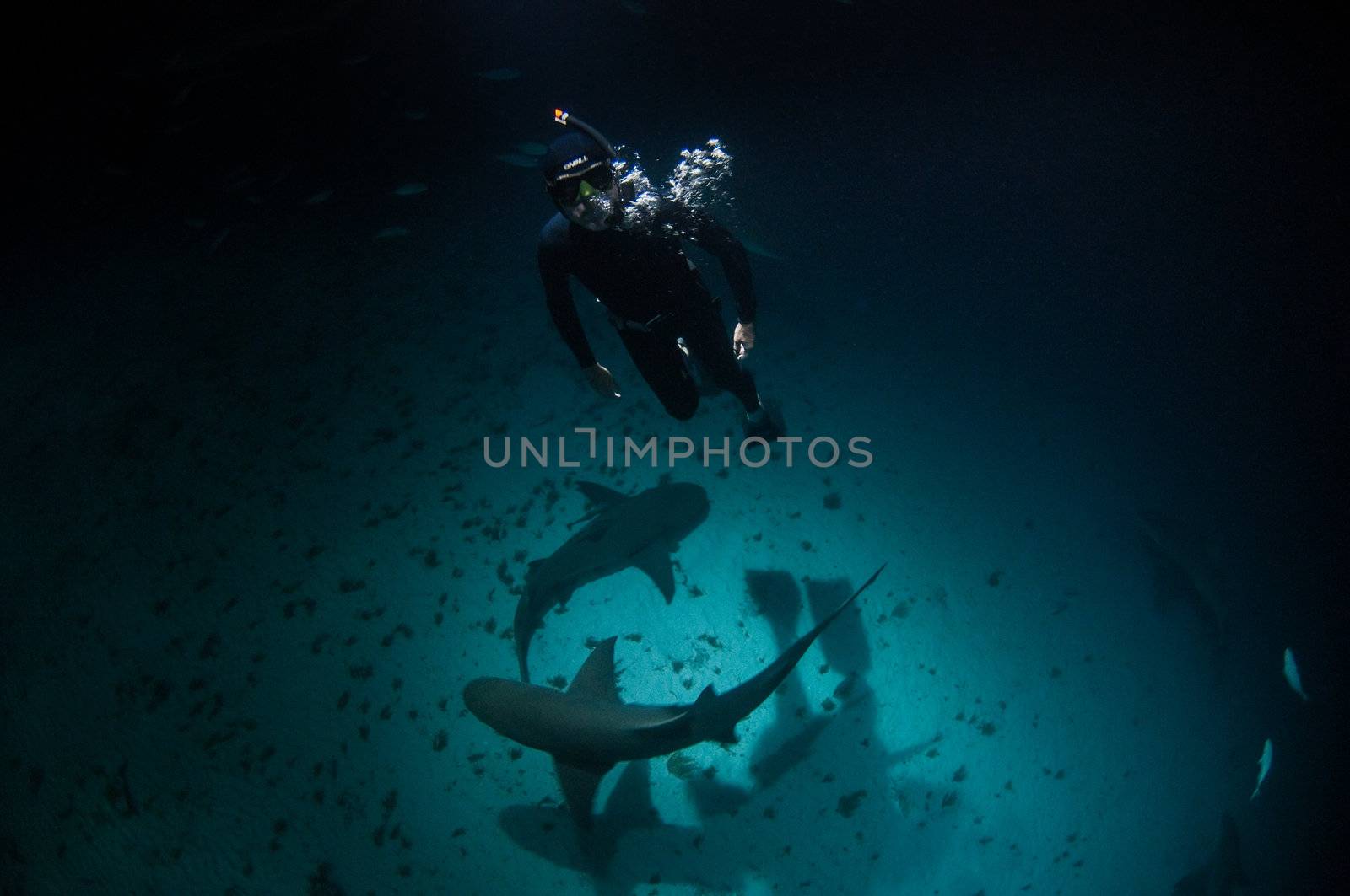 Diving in the dark by fiona_ayerst