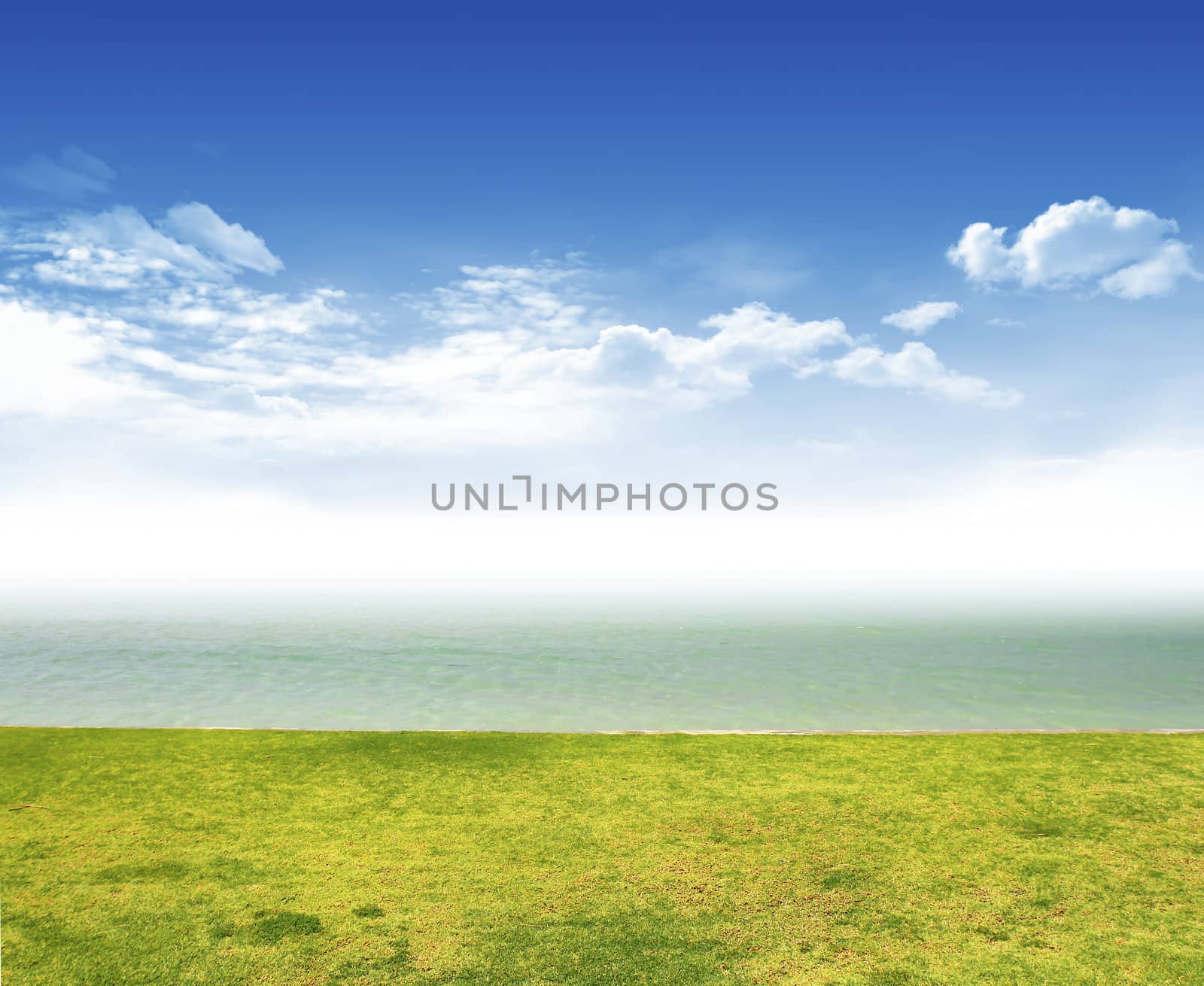 summer landscape 
 by rufous