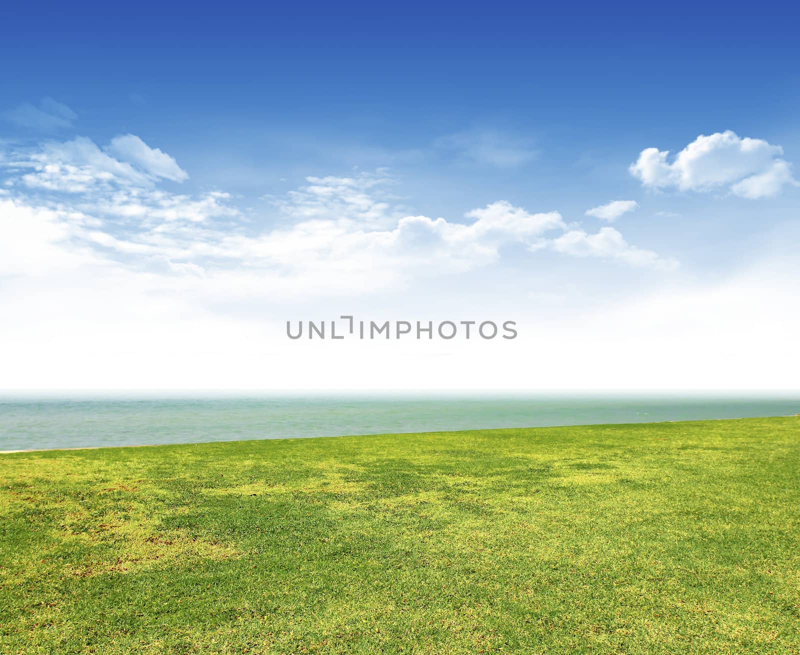 summer landscape 
 by rufous
