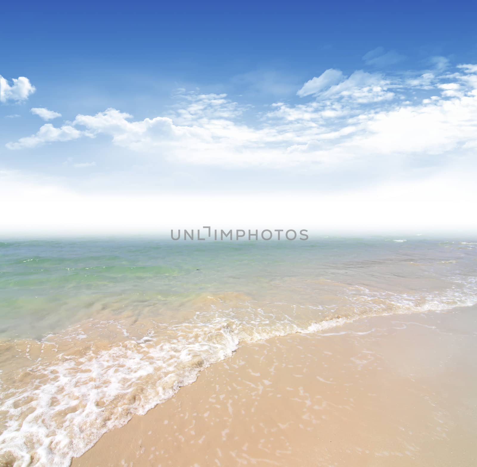 beach and tropical sea