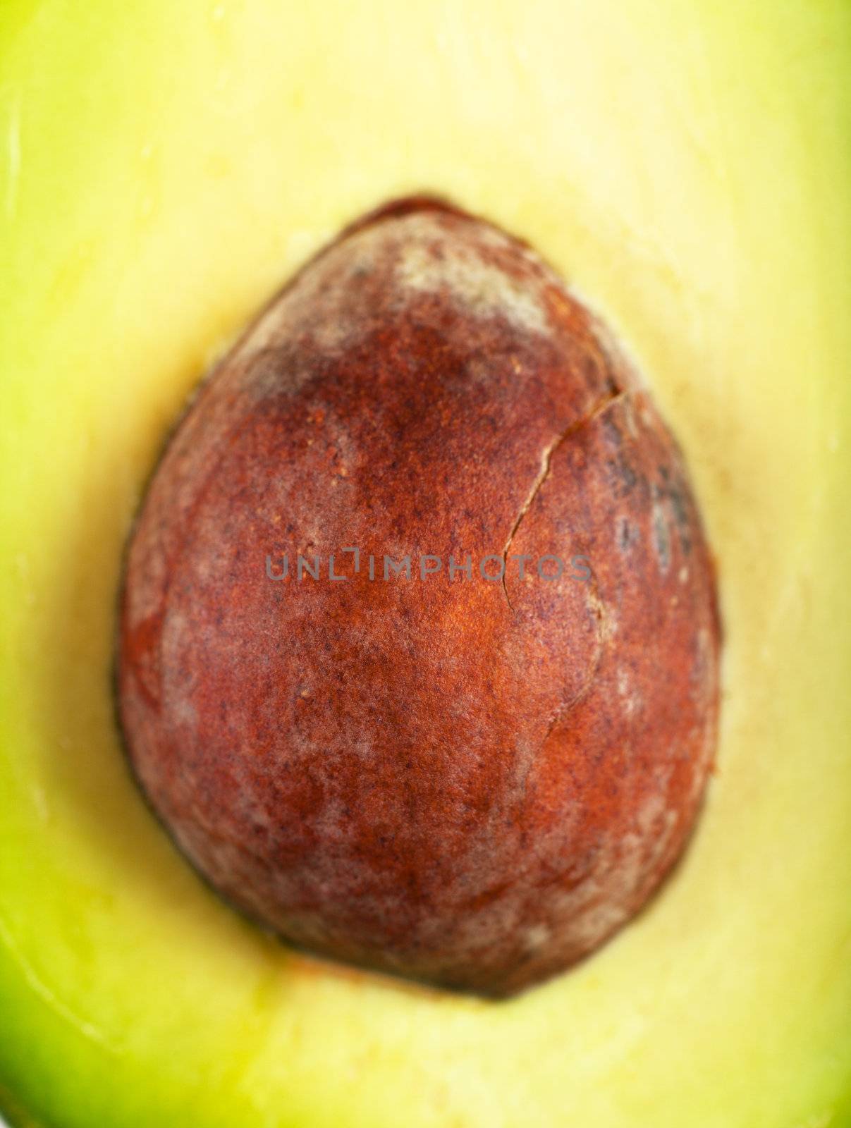 Macro view of core of fresh avocado