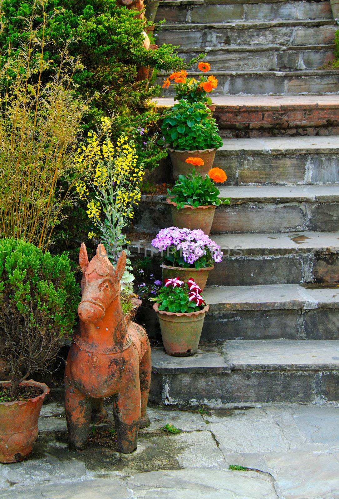 Ornament stair in garden