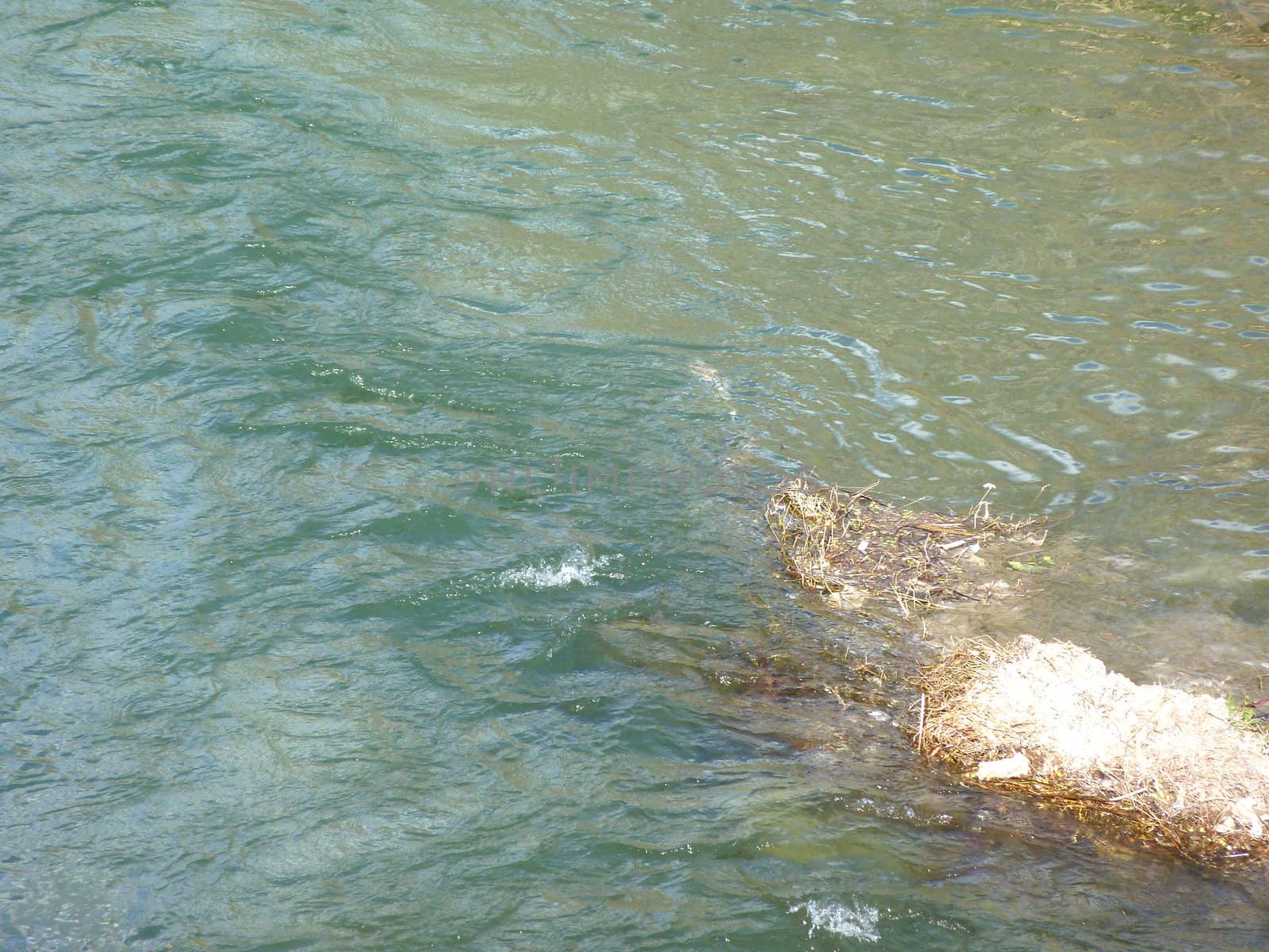 fast flowing water in a river