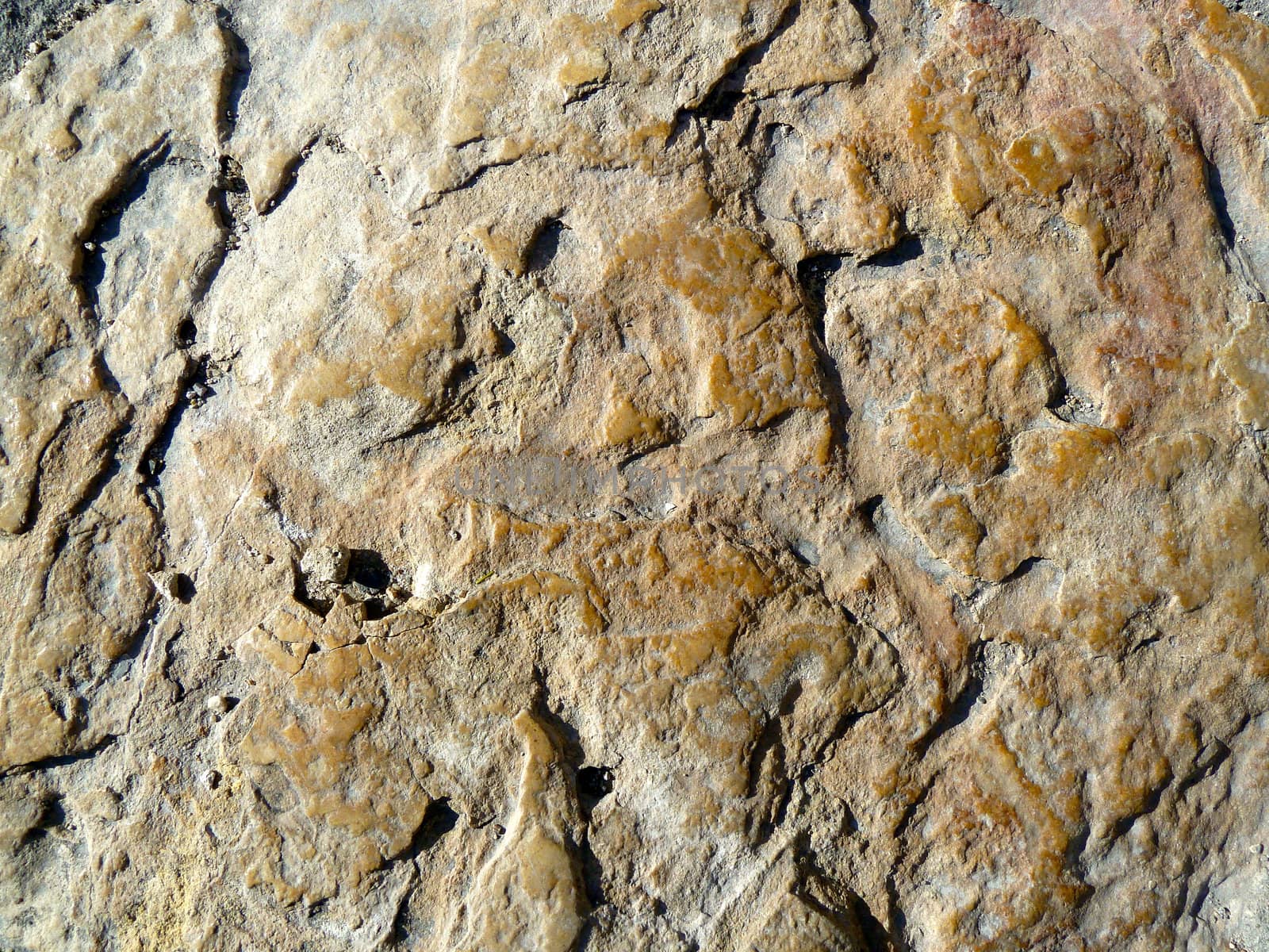 closeup on a section of rough brown stone
