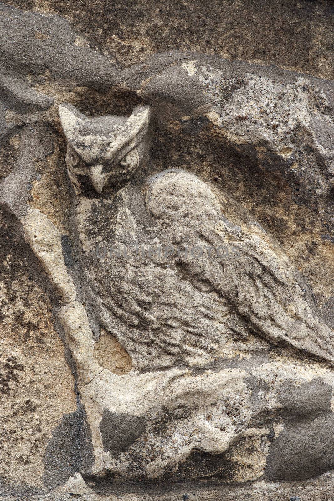 Shot of the architectural detail - relief - owl