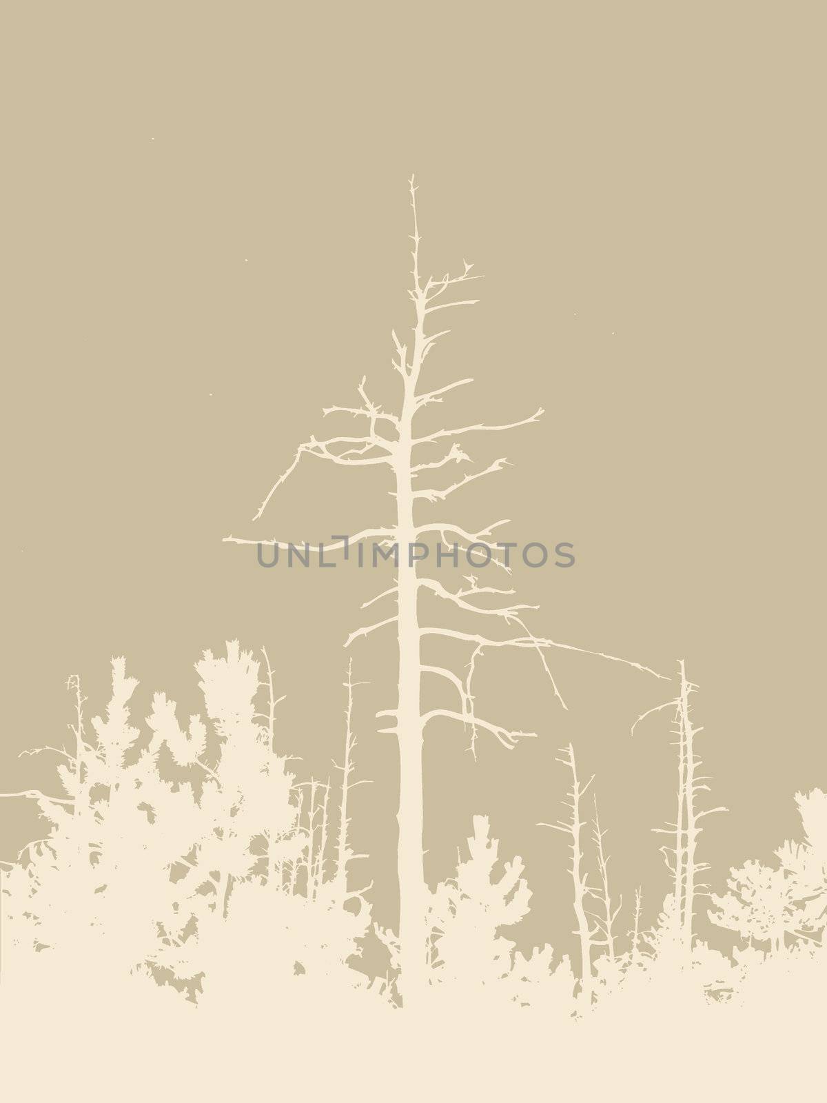 timber silhouette on brown background