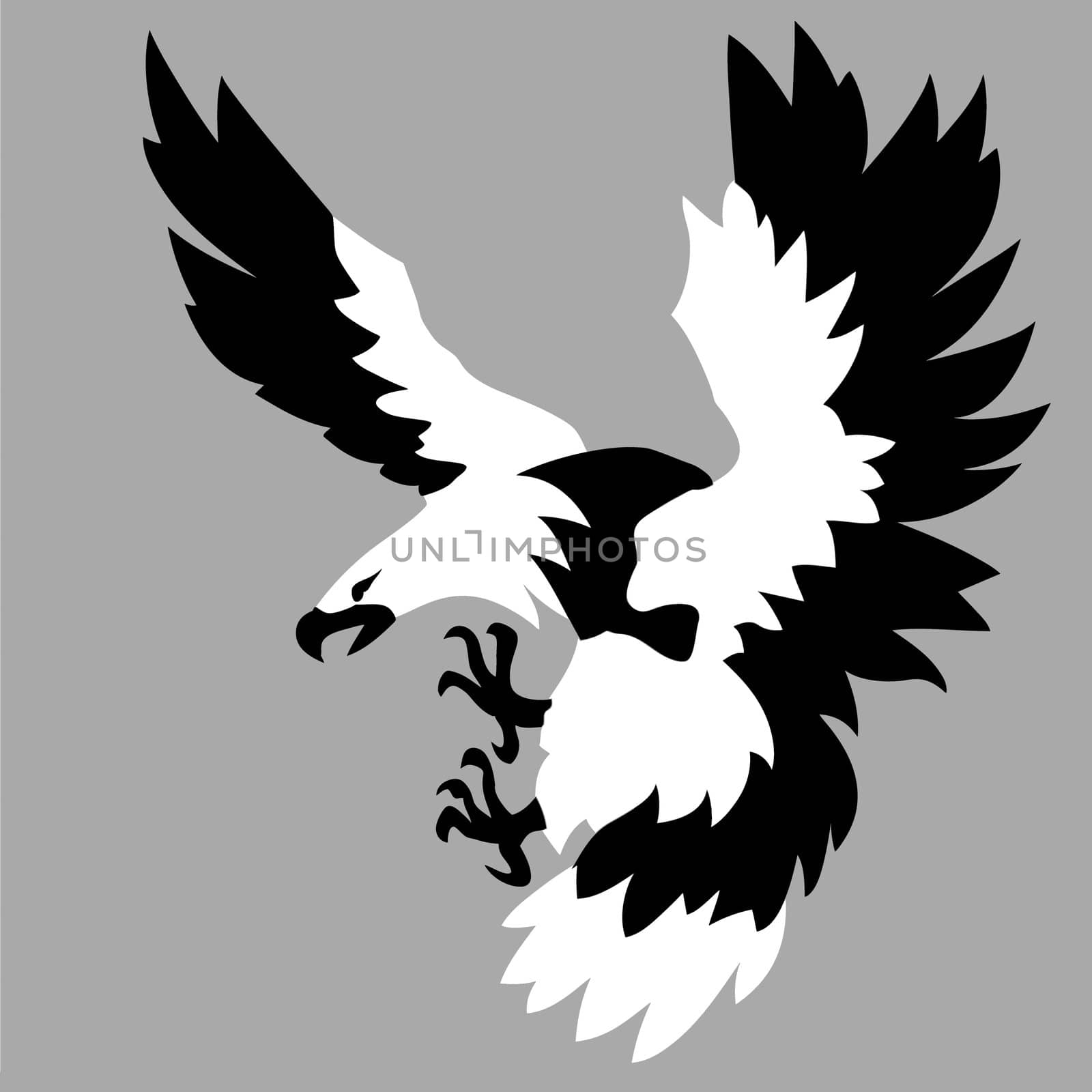 eagle drawing on gray background