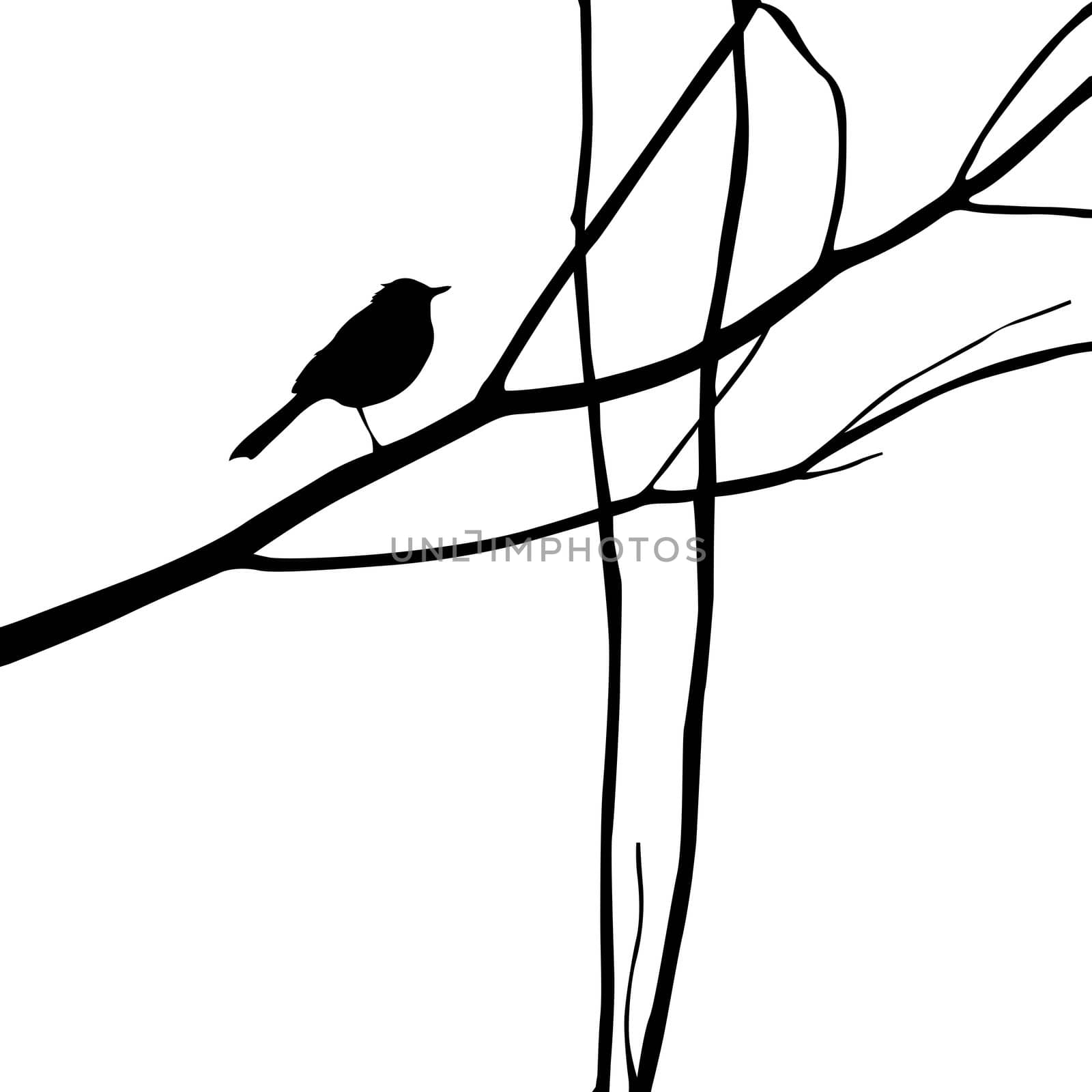 bird silhouette on wood branch