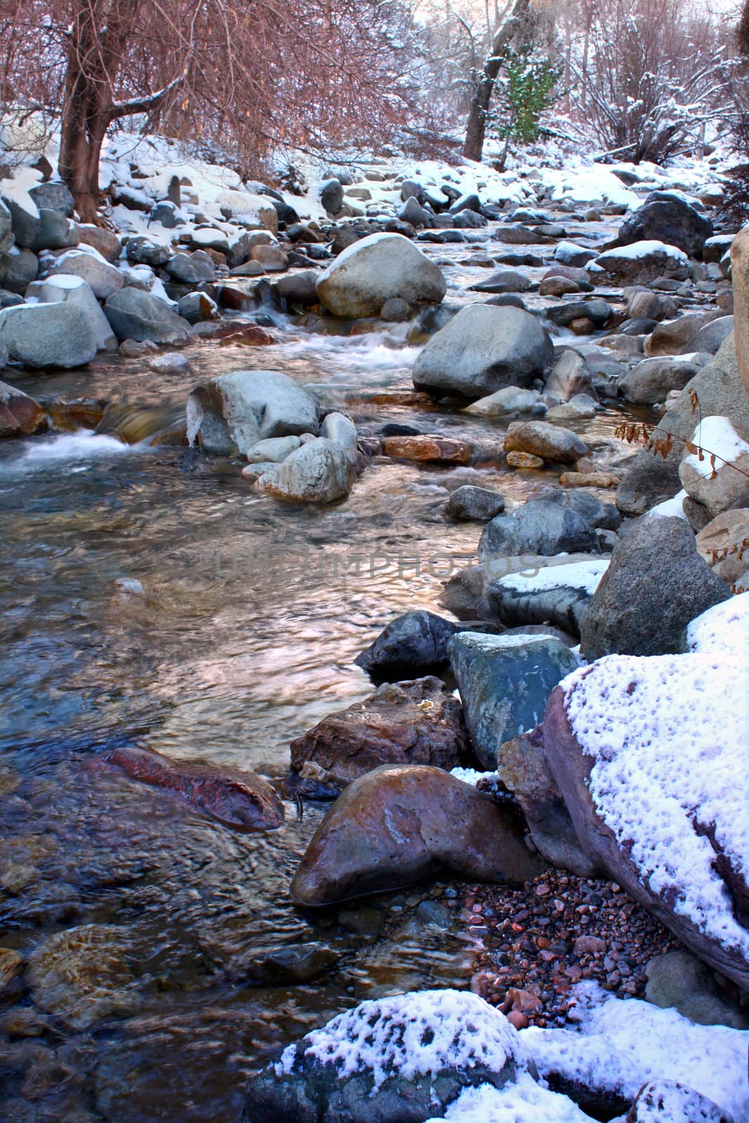 White River National Forest Colorado by Wirepec