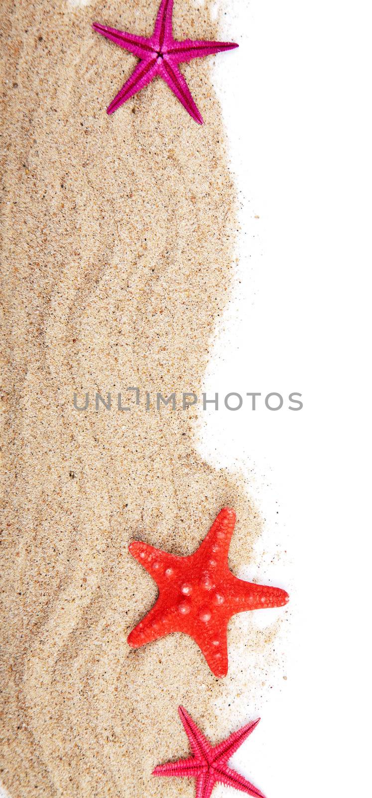 sand and starfish isolated. summer background