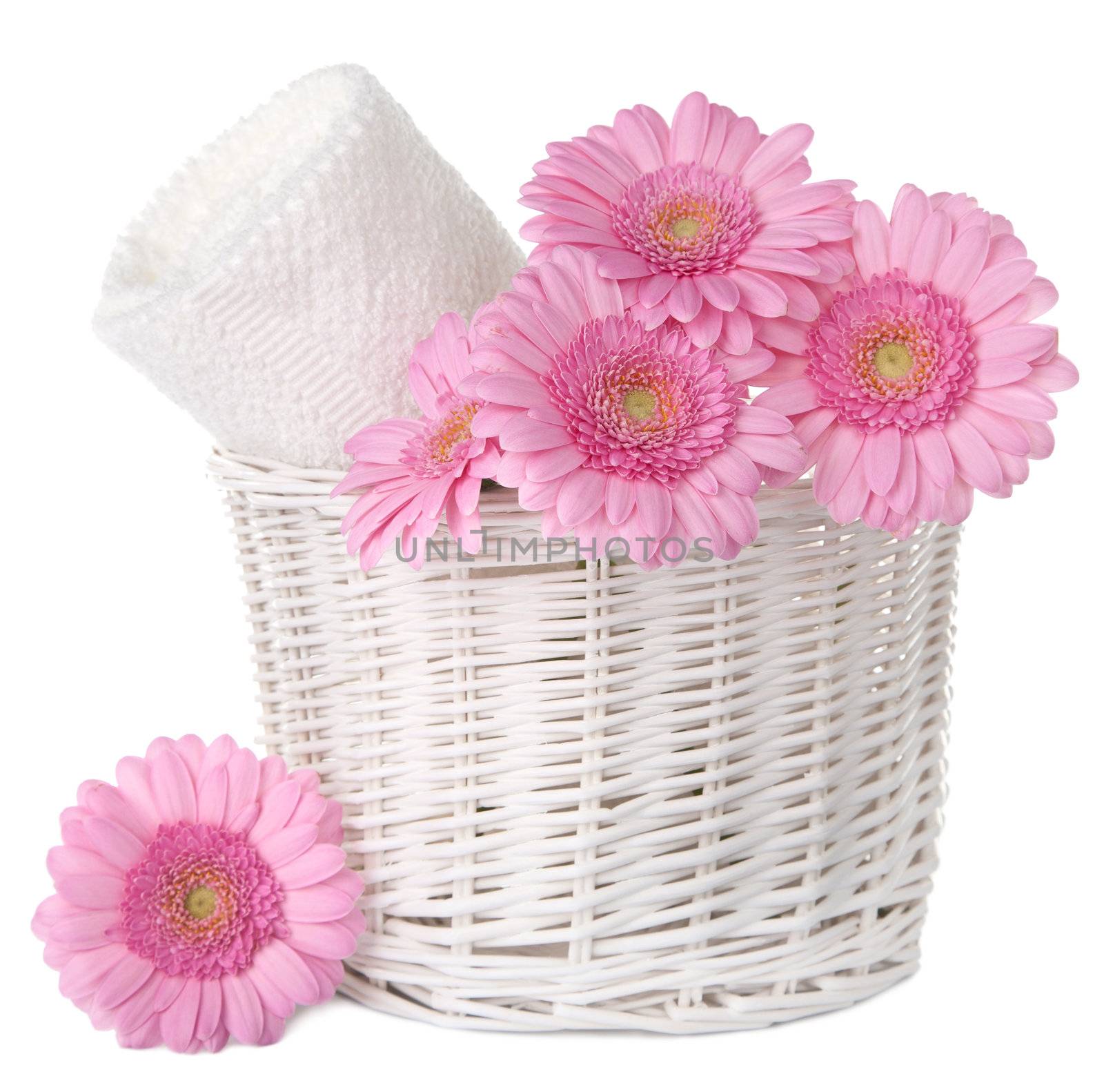 bath and spa set isolated