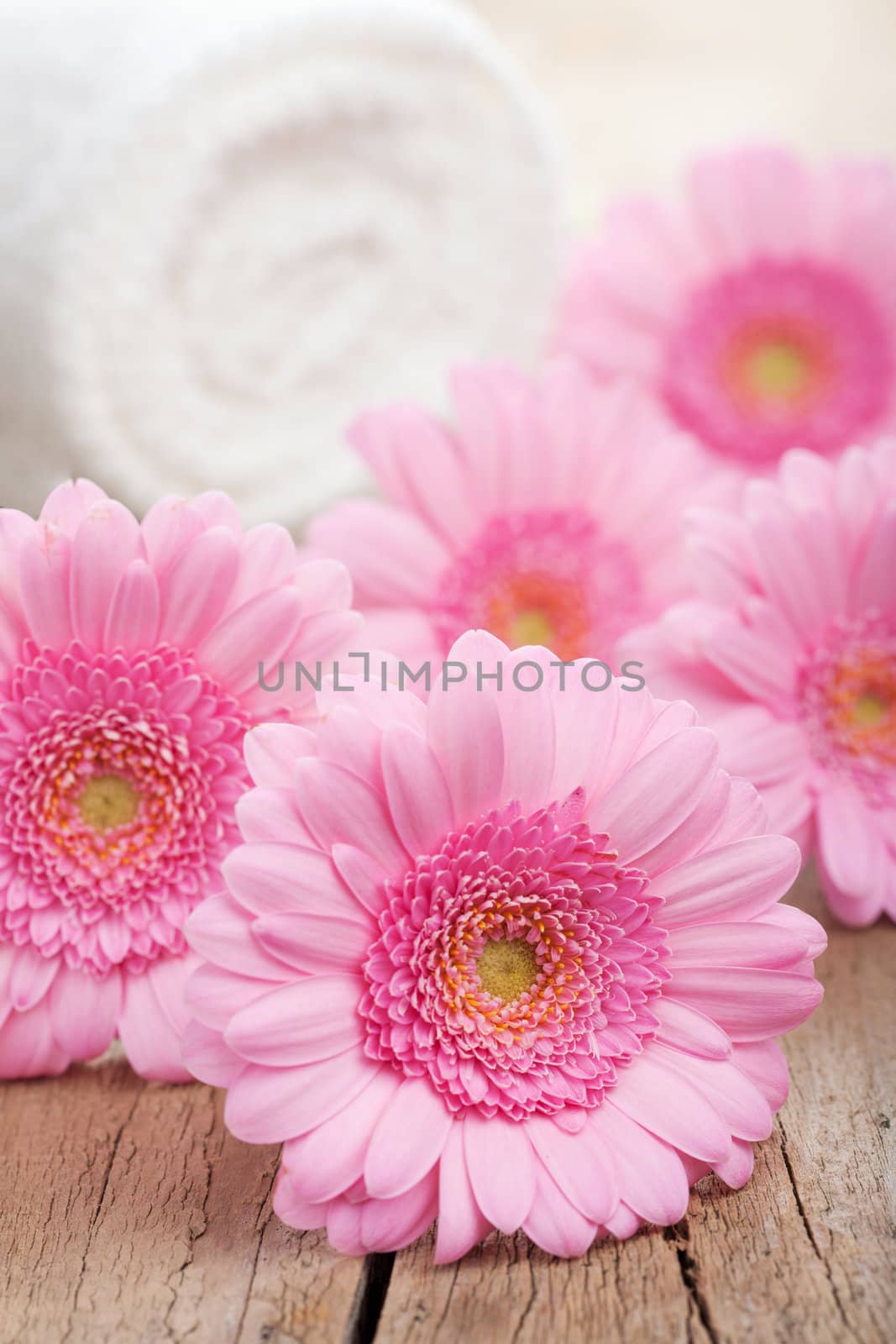 pink flowers and towel for spa