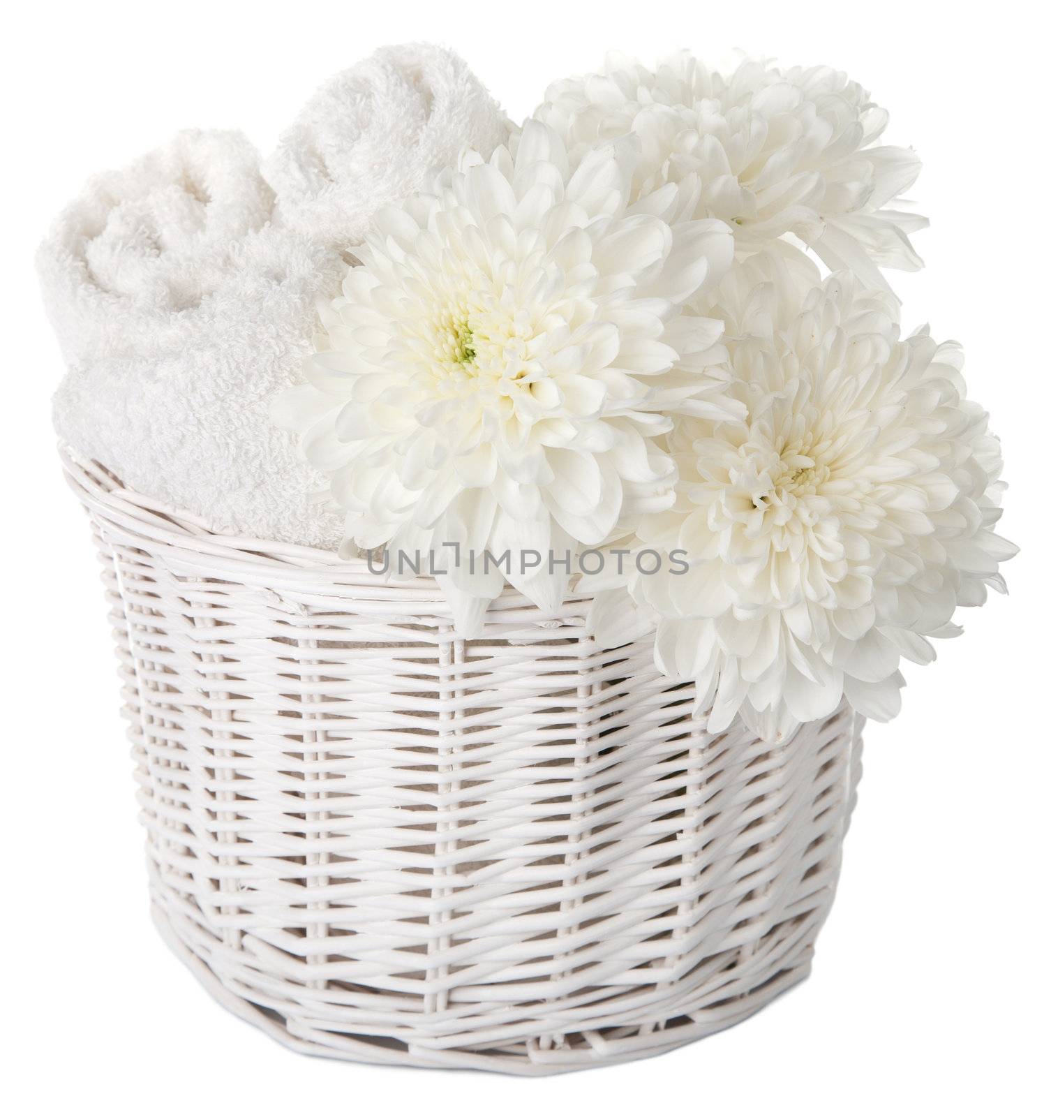 bath and spa set isolated 