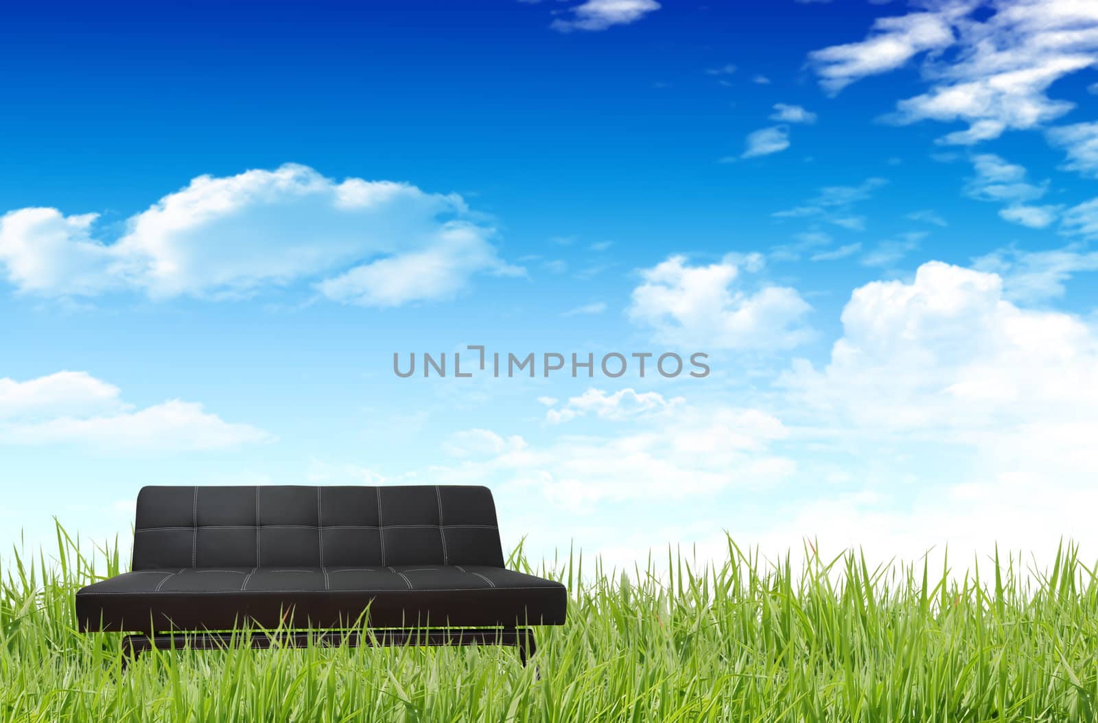 sofa on the grass field 
 by rufous