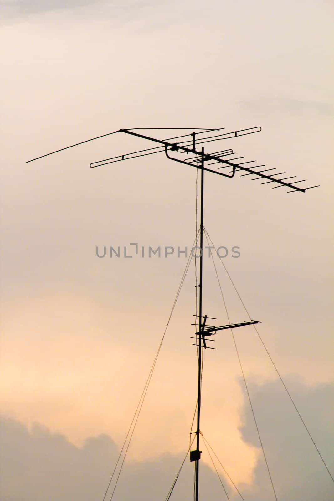 Antenna of television in dusk  when night is comung