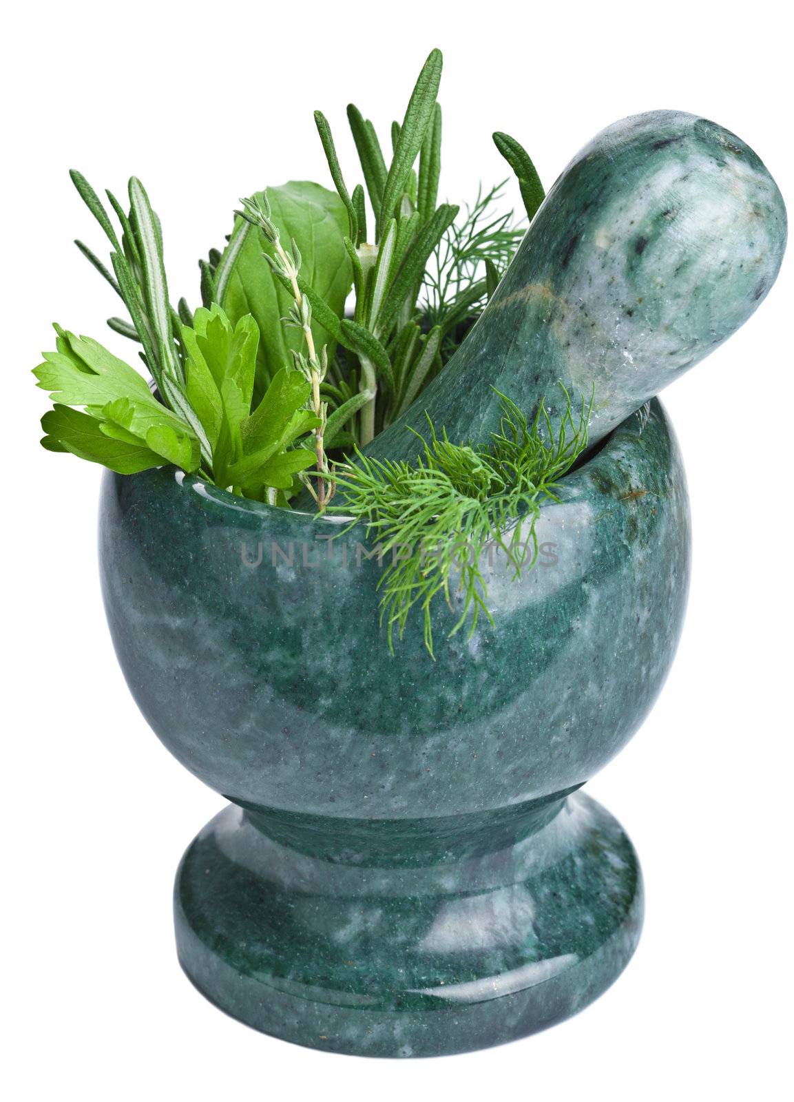 mortar with fresh herbs isolated