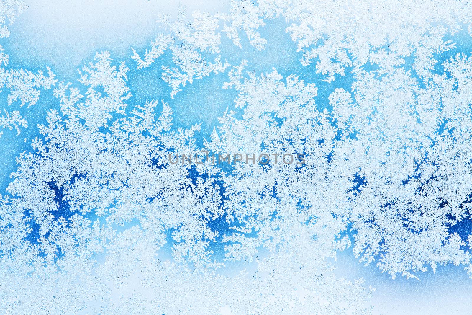 winter rime background
