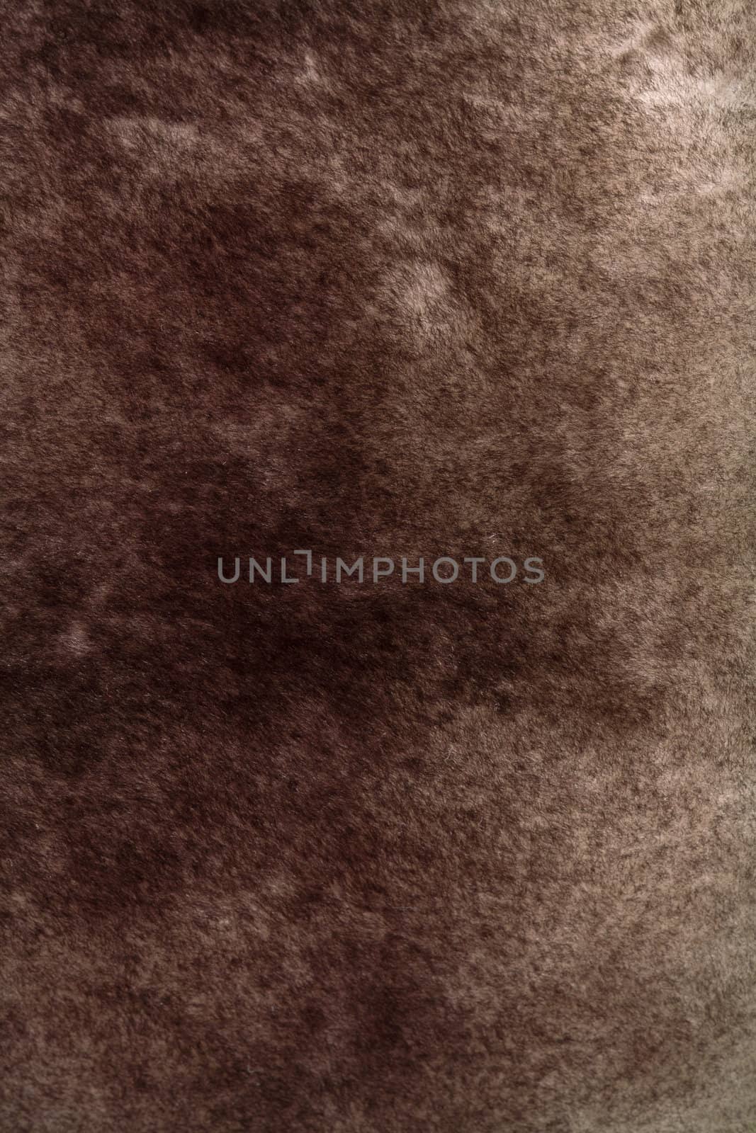 abstract fur background 