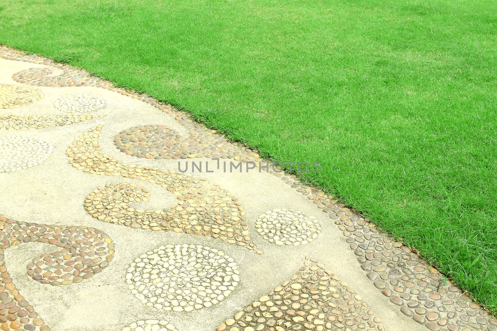 Garden stone path with grass  by rufous