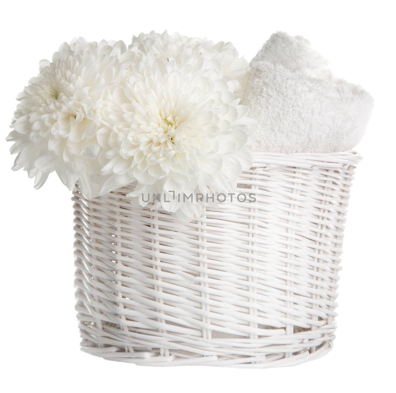 bath and spa set isolated