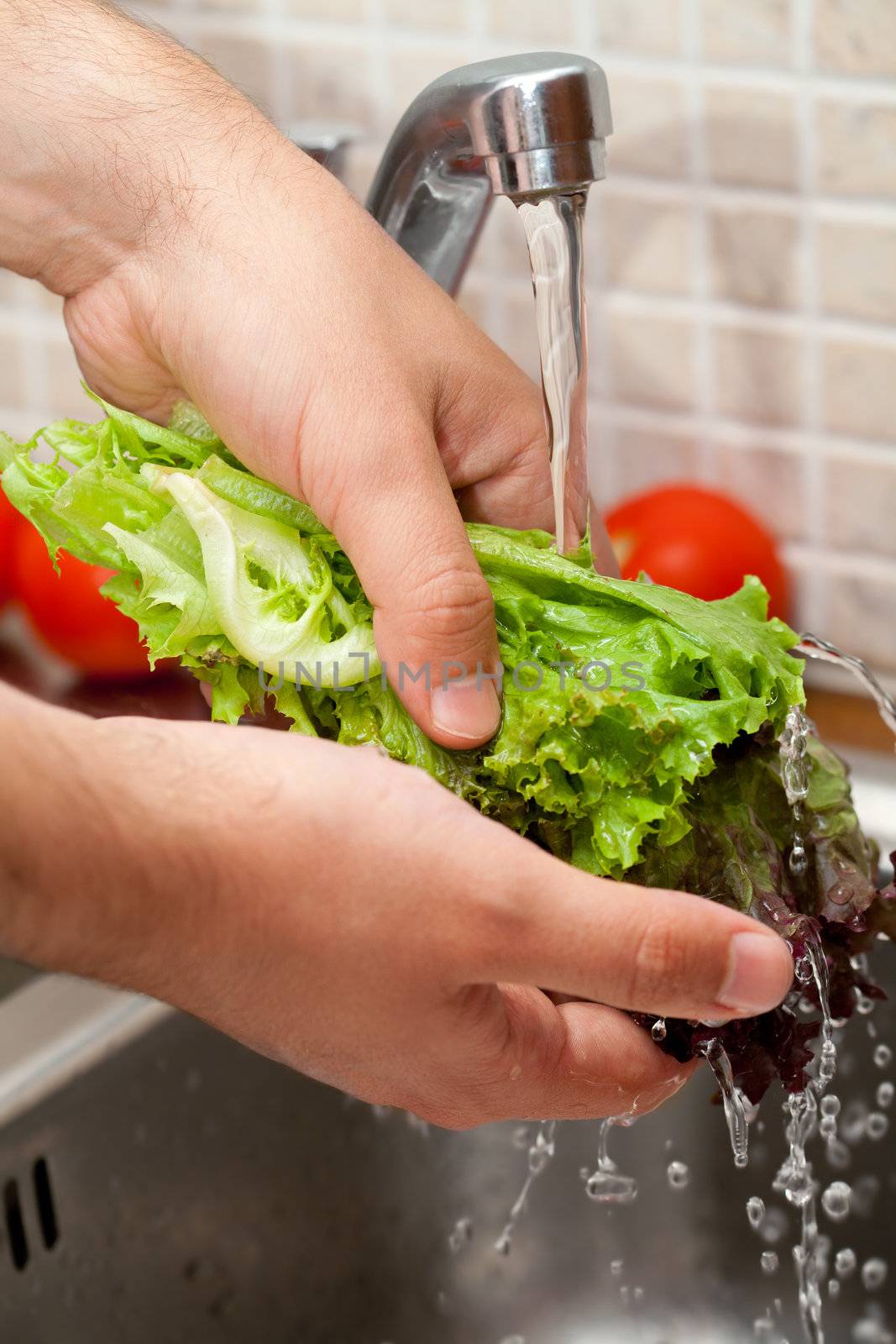 man washing salad leaves