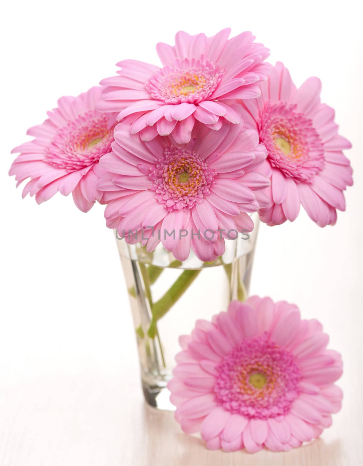 daisies in vase