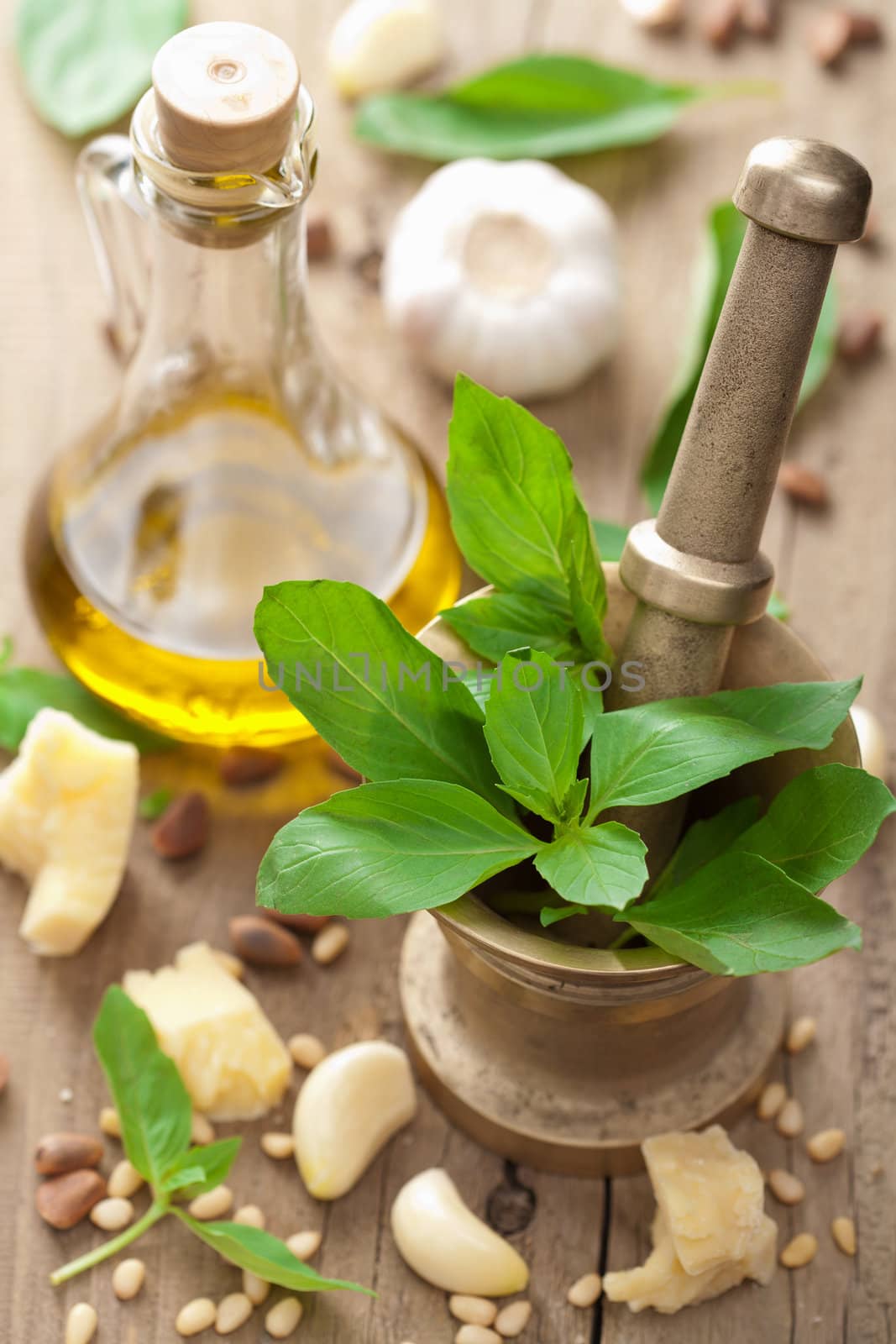 ingredients for pesto sauce